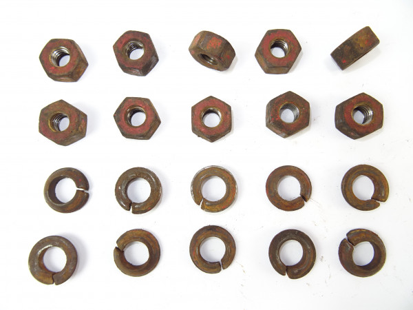 10 x Radmuttern M12x1,5 SW22mm Federring konisch vom vorne Fendt Dieselross F12 F15 F20 Fix 2 Trakto